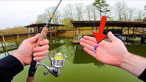 SHOOTING a Dock for Fish with MICRO Lures???