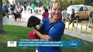 Foothills Animal Shelter And Denver7: A Thank You For Toby's Pet Parade