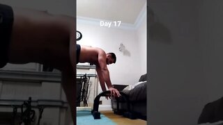 Day 17 - Learning How To Do Handstand Push Ups