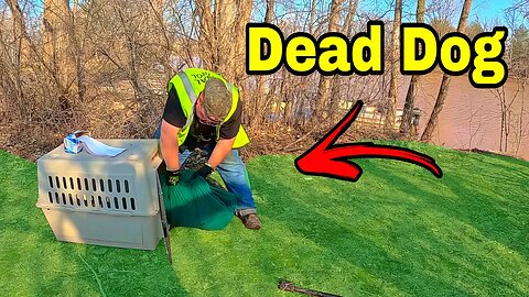 Extreme Warning: Dead Dog Found While Magnet Fishing!!!