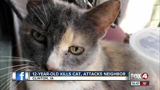 Boy kills cat and threatens to attack neighbor
