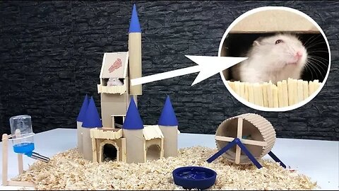 DIY Disney Hamster Castle from Cardboard