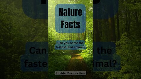 #shorts If You Like Animals You Should Know This Nature Fact!