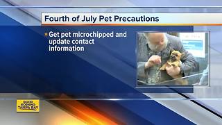 Fourth of July pet precautions