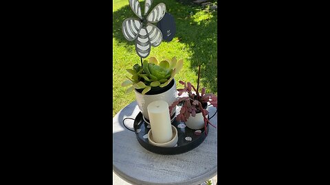 Lovely Succulents with Whirlybird