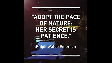 Adopt the pace of nature [GMG Originals]