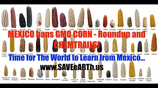 Mexico bans GMO Corn, Roundup & Chemtrails!! America's Leaders have 1 Purpose.. to Destroy America.