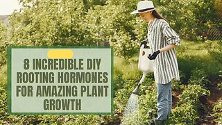 8 Incredible DIY Rooting Hormones for Amazing Plant Growth