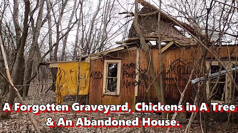 A Forgotten Graveyard, Chickens in a Tree & An Abandoned House.