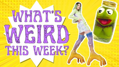 Pickled Puppets, Insane Shoes, & Weird Food (Weird Wednesday Recap!)