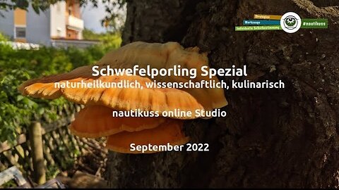 www.nautikuss.at: Schwefelporling Spezial