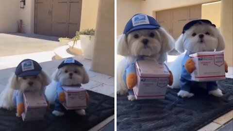 Today we met the cutest delivery guys