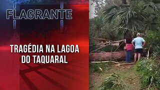 Árvore gigante cai e mata criança de sete anos em parque de Campinas | FLAGRANTE JP