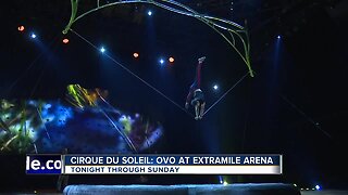 Cirque Du Soleil performing 'OVO' at ExtraMile Arena