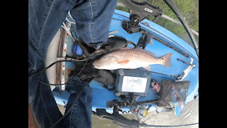 fishing for redfish #2