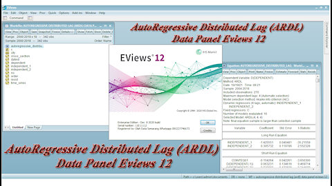 AutoRegressive Distributed Lag (ARDL) Data Panel Eviews 12