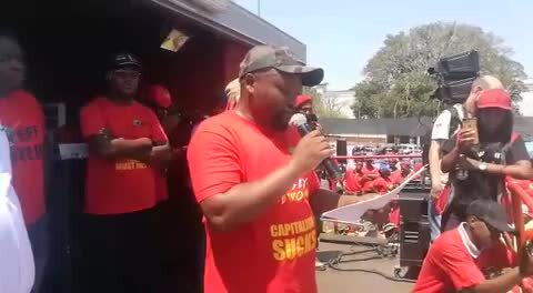 Car manufacturers importing workers while citizens are jobless, says Tshwane EFF (HaS)