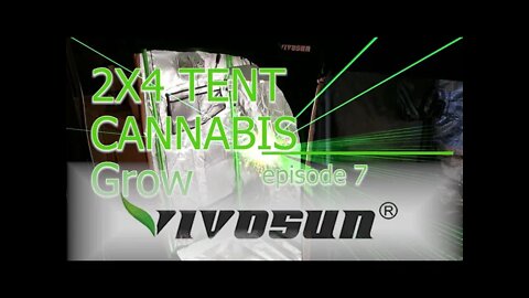 Vivosun Grow Tent 2x4 MAC1 Cannabis Grow ep. 7 "How I Flush Coco" 🔨 Day 56 #Vivosun #420 #MAC1