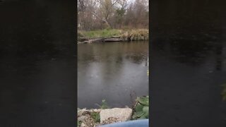 light rain over river canal