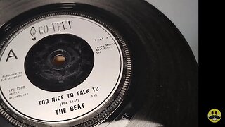 Too Nice To Talk To ~ The Beat ~ 1980 Go-Feet Vinyl 45rpm Single