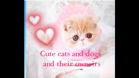 Watch the video If you also love animals like I do 2022 Cute cat life Dog and Cats