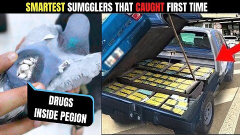 9 SMARTEST Smugglers Caught Red-Handed Strange things