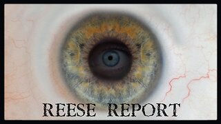 Sweeping Plan for Global Censorship Exposed | Reese Report