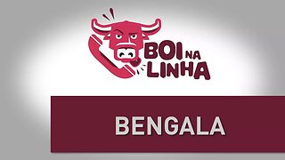 Boi na linha: Bengala