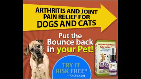 IS YOUR DOG OR CAT SUFFERING FROM ARTHRITIS?