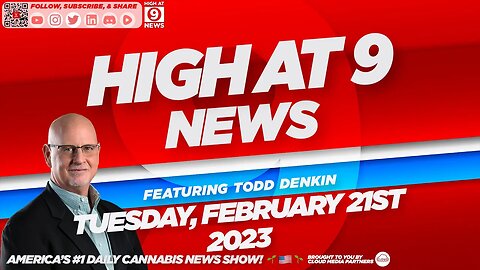 High At 9 News : Tuesday February 21st, 2023