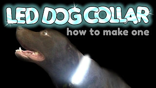 How to make an LED Dog Collar by VOGMAN