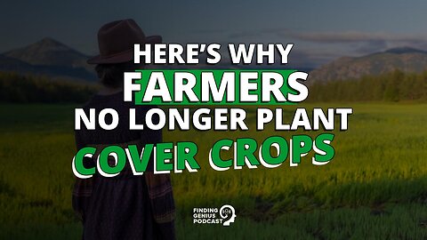 Here’s Why Farmers No Longer Plant Cover Crops