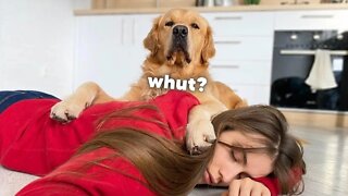 My Dog's BEST Reactions | Funny Dog Videos