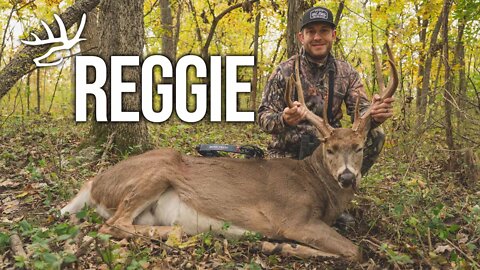 Gnarly Missouri Buck with a Bow from the Ground - "Reggie"