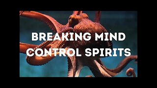 MIND CONTROLLING SPIRITS (Octopus🦑)