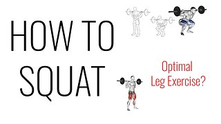 How To Properly Do A Squat