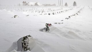 Massive Winter Storm Brings Frigid Temps, Snow And Ice To U.S.