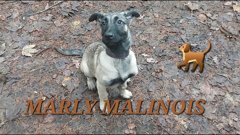 MARLY MALINOIS