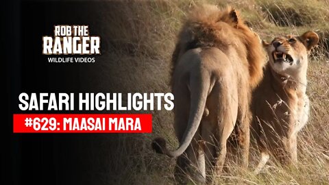Safari Highlights #629: 5th September 2021 | Maasai Mara/Zebra Plains | Latest Wildlife Sightings
