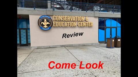 You have to see this, my St Louis Aquarium Review.