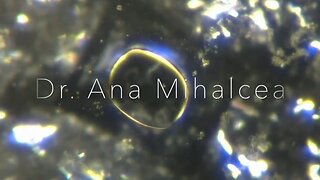 Dr. Ana Maria Mihalcea - Bio-nano Upgrades