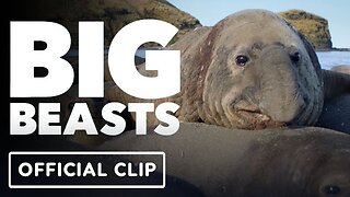 Big Beasts - Official Clip
