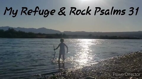 Psalms 31 Refuge & Rock