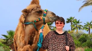 Riding A Camel For The First Time (Family Vacation 2022)