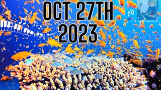 Oct 27th 2023 #underwater #sea #piano #instrumental #432hz #fish #life #relaxing #meditation #peace