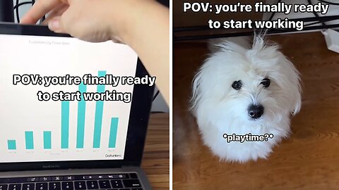 POV: You finally started working but have a dog at home