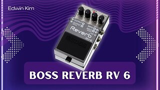 🎸Boss RV-6 Digital Reverb