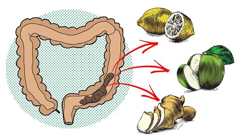 9 Home Remedies for Natural Colon Cleansing