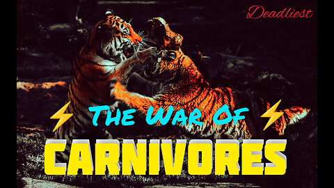 War of the Carnivores (Full Episode) | World's Deadliest