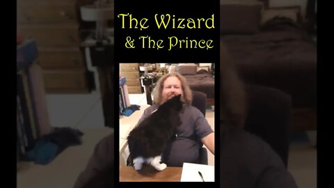 "The Wizard and The Prince" ~ #shorts